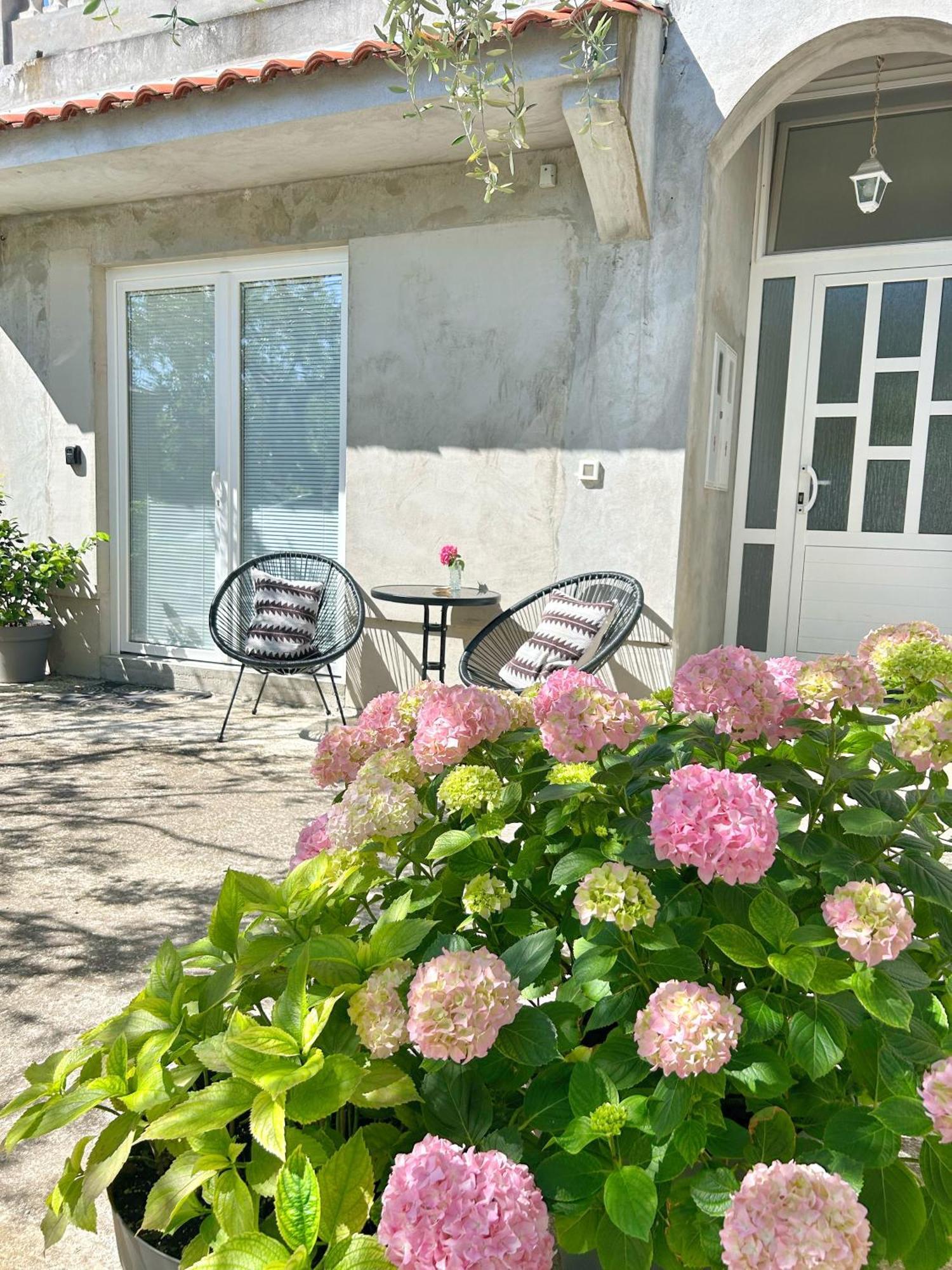 Apartments D&A Zadar Ngoại thất bức ảnh